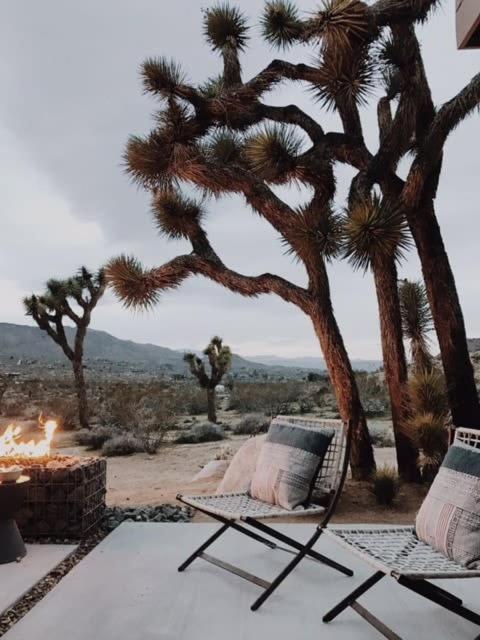 Shelter 1- A Classic- At Joshua Tree Park Entrance Bagian luar foto